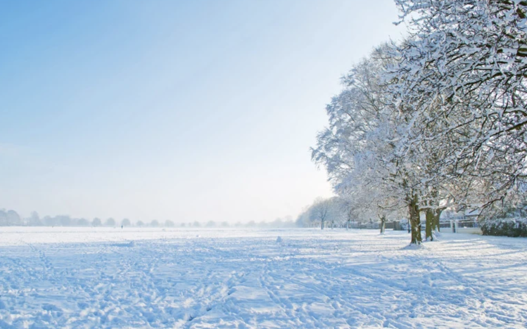 Zonnepanelen in de winter? Ja! Dat levert rendement op.